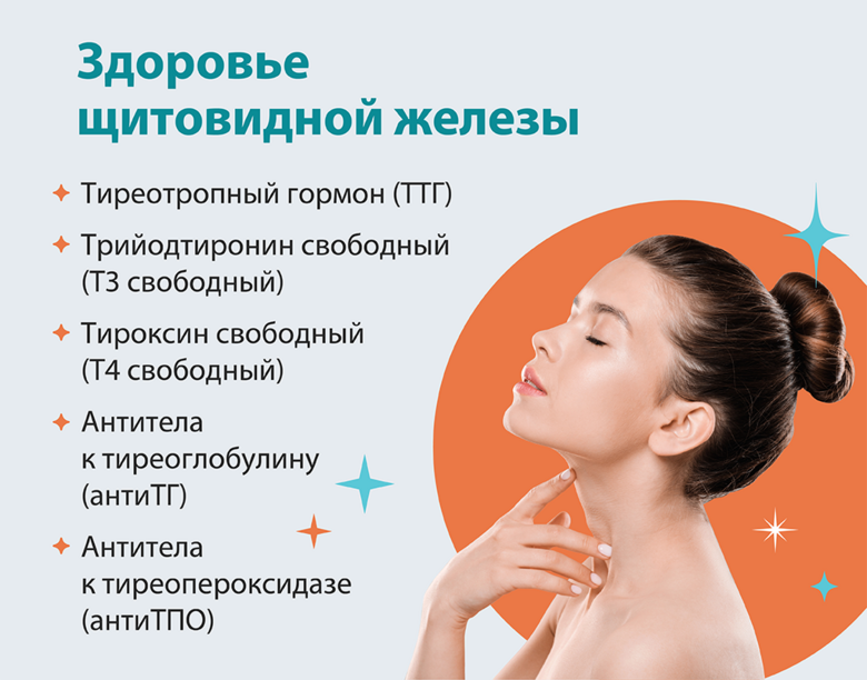 Комплекс анализов «Здоровье щитовидной железы» за 1600 рублей